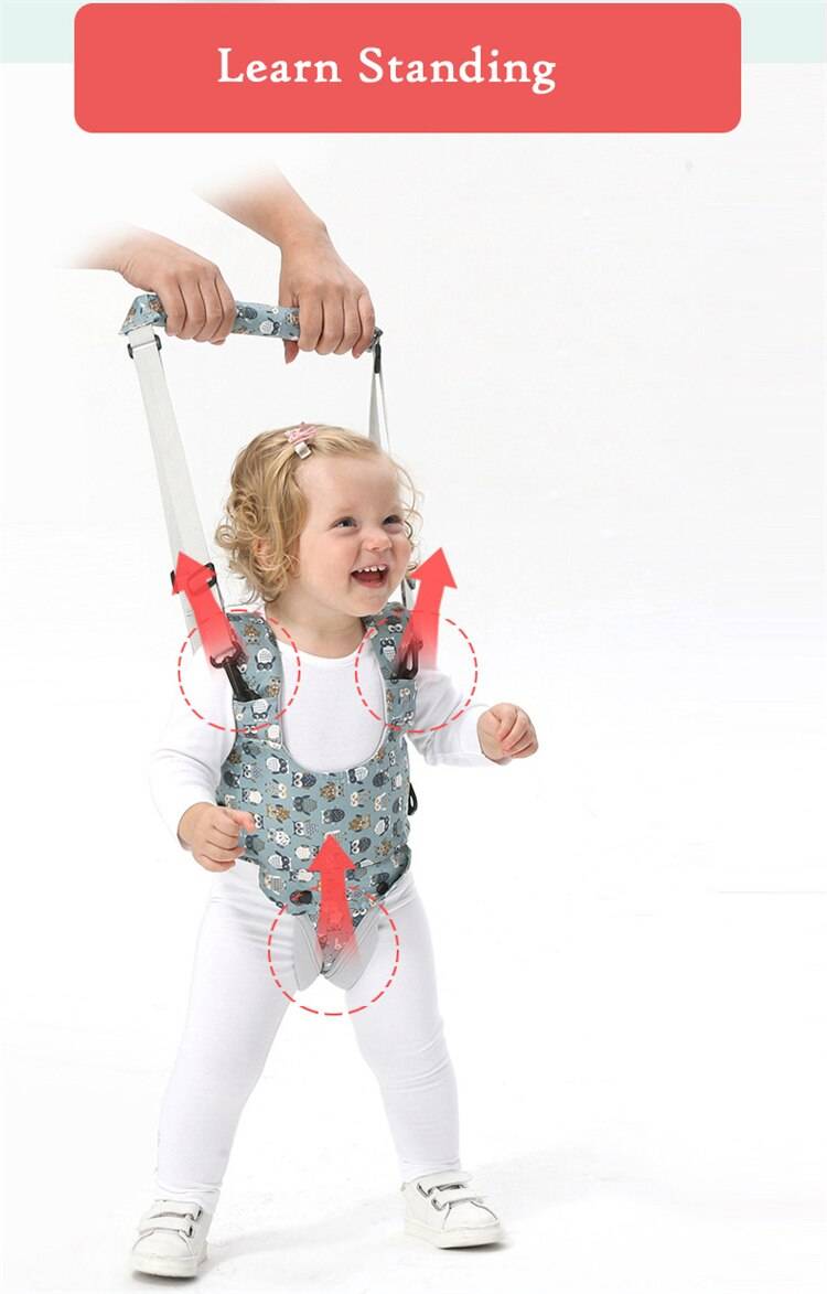 Cartoon Printed Multifunctional Baby Walker